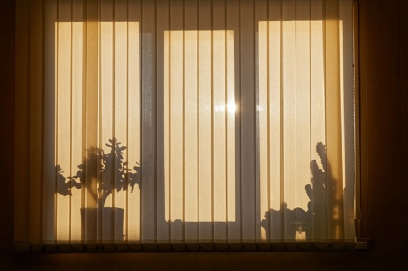 Blinds