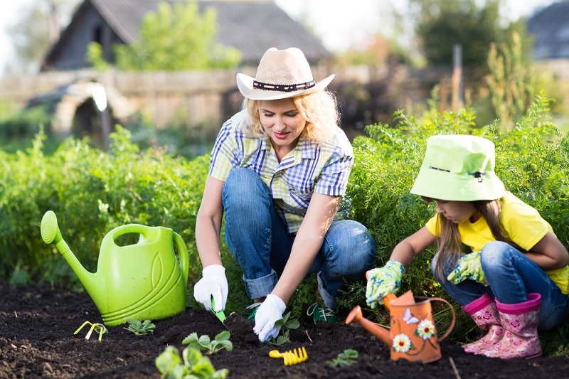 How to Have Your Perfect Home Garden