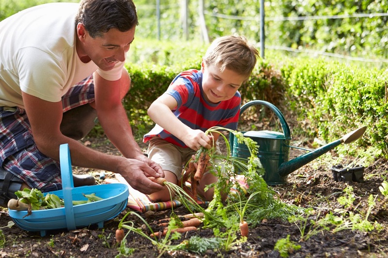 Home Garden