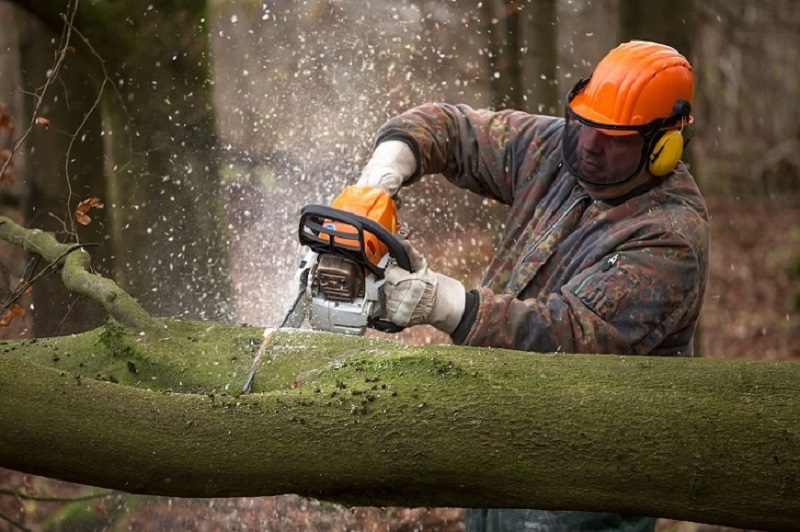 How to Choose the Best STIHL Chainsaw from a STIHL Dealer?