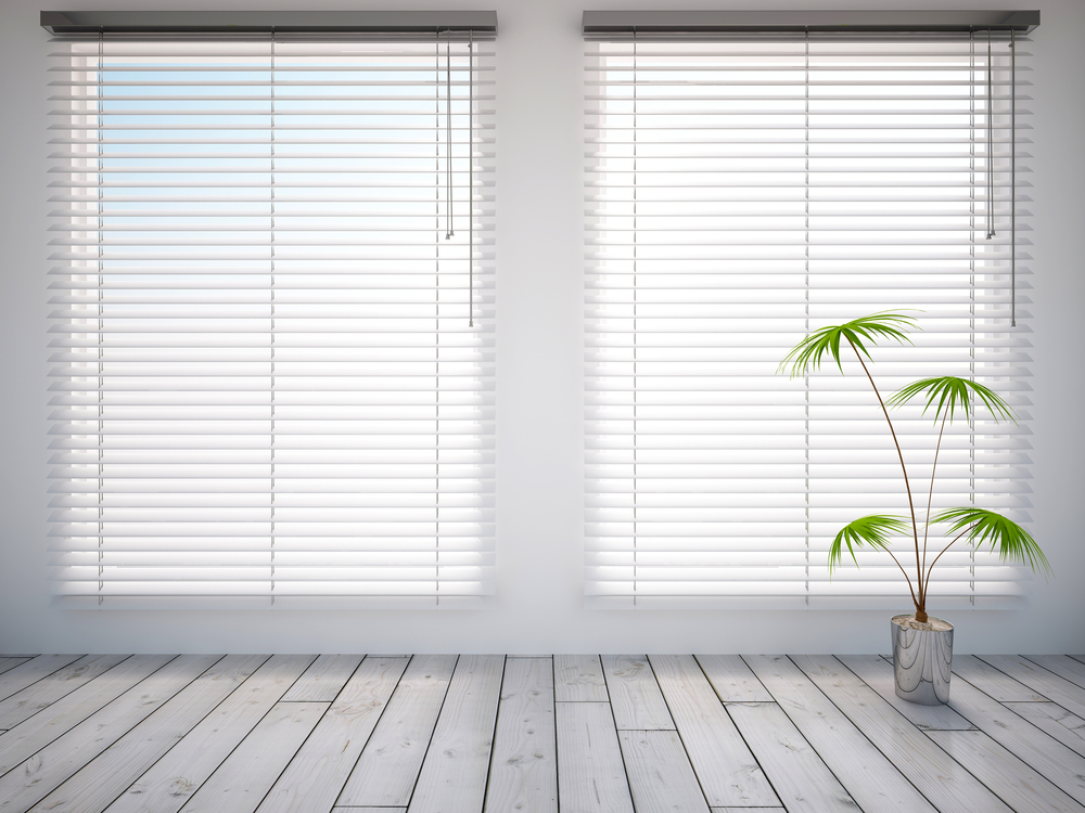 Window Blinds