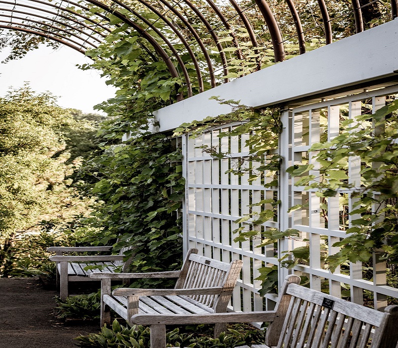 Fountains  Yurt 