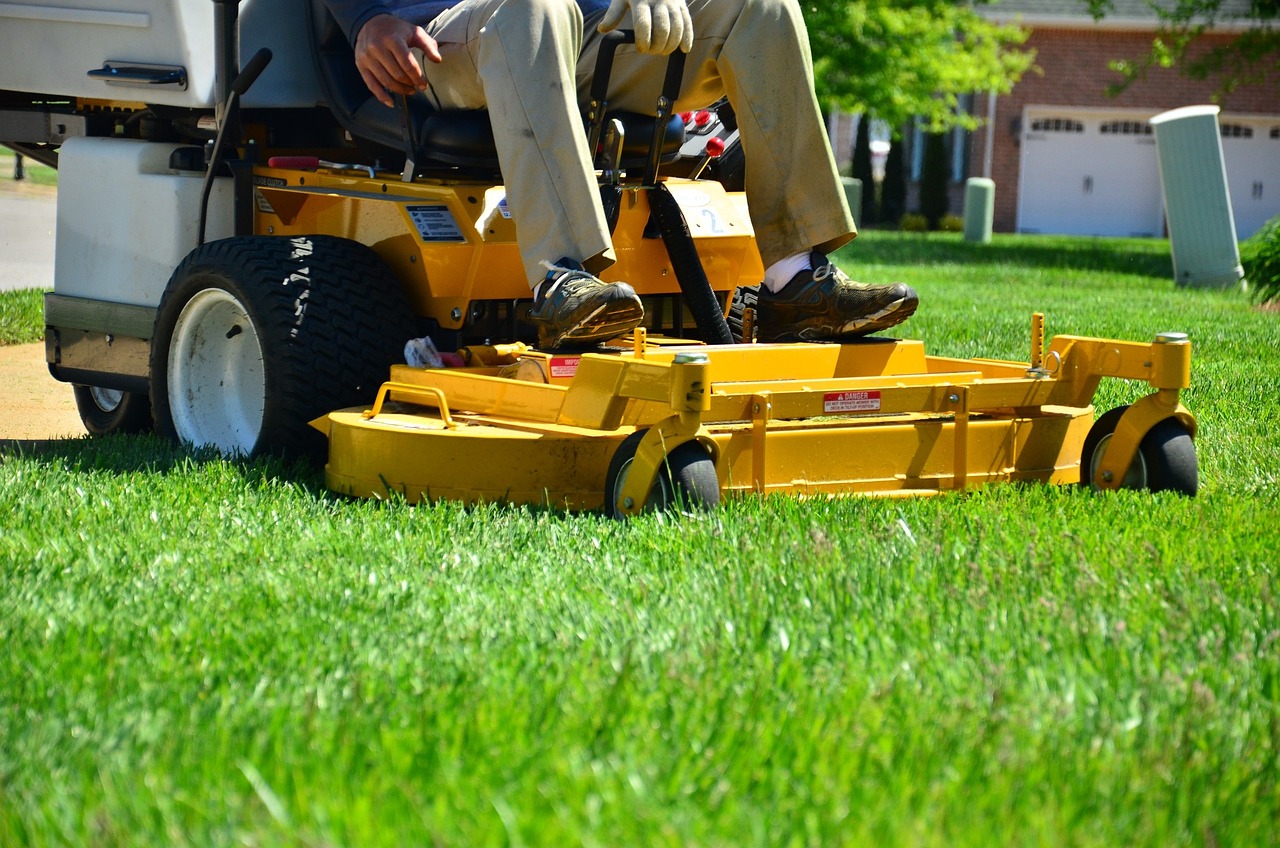 Sustainable Lawn Care Practices in Guelph: A Guide to Eco-Friendly Landscaping